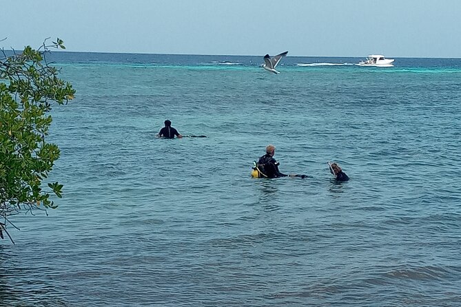 Shore Dive Aruba for Certified Divers - The guides: Javier, Geo, Isaac, and Junior do the heavy lifting