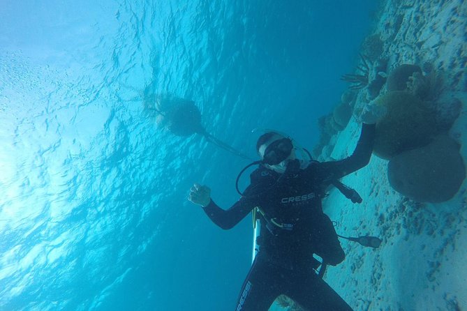 Shore Dive Aruba for Certified Divers - The 2-hour plan: what happens from start to finish