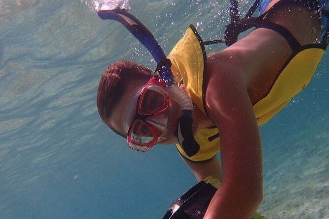 Small-Group Sea Scooters Snorkel at Mangel Halto Beach in Aruba - Small Groups, Real Guidance, and Named Guides That Get Props
