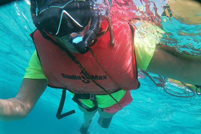 Small Group Snorkeling at Mangel Halto Aruba - Logistics You Can Control: Showing Up Ready