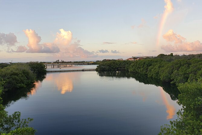 Spanish Lagoon Mangrove Trail & Bird Watching - 7:30 a.m. TeleAruba meeting and your first lagoon view