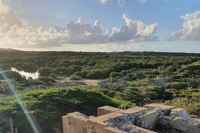 Spanish Lagoon Mangrove Trail & Bird Watching - Balashi Gold Mill Ruins and Frenchman’s Pass: ruins with a story