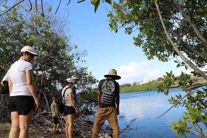 Spanish Lagoon Mangrove Trail & Bird Watching - Price and value: what $90 buys you (and what it doesn’t)