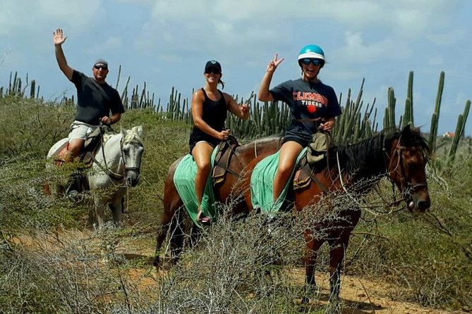 Sunset Horseback Ride in Aruba - Horses, Helmets, and the Guide You Get
