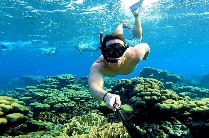 Tropical Dream Snorkel and Dinner Sail in Aruba - What’s Included vs. What You Must Bring