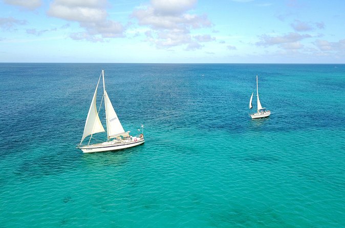 Tropical Sailing Experience with BBQ Lunch or BBQ Dinner in Aruba - Flamingo Island pass: the postcard moment while you’re still dry