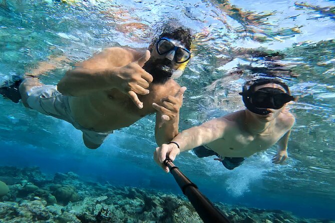 Tropical Sailing Experience with BBQ Lunch or BBQ Dinner in Aruba - Mangel Halto Reef: snorkeling time and what to expect