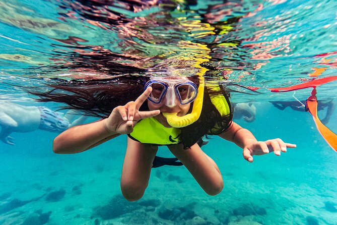 Turtle Snorkeling Tour in Tres Trapi, Aruba - Meeting point in Noord and the easy start